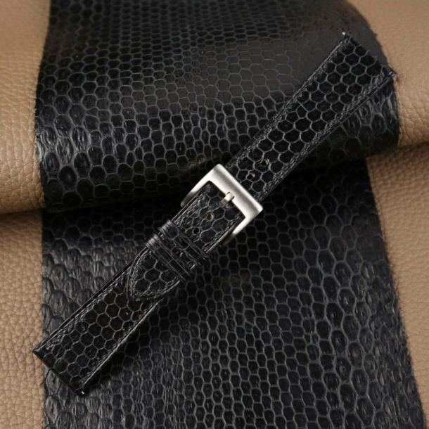 Snake Sea Navy Classic