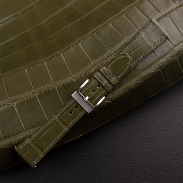 classic oliu alligator