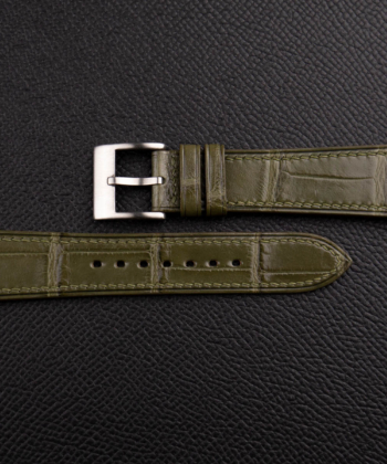 classic oliu alligator