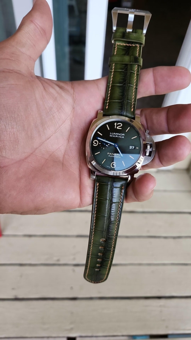 Padded Green Alligator Leather Lining Dark Brown Round Scales Watch Strap