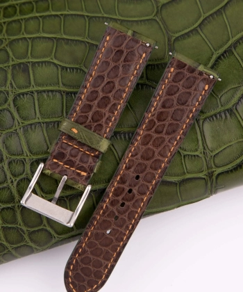 Alternative view of Padded Green Alligator Leather Lining Dark Brown Round Scales Watch Strap