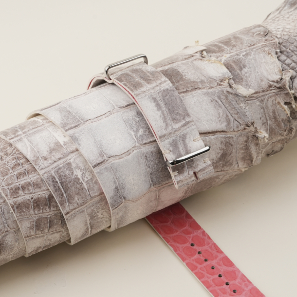 NATO Himalayan Alligator Lining Pink Alligator Round Scales Leather Watch Strap