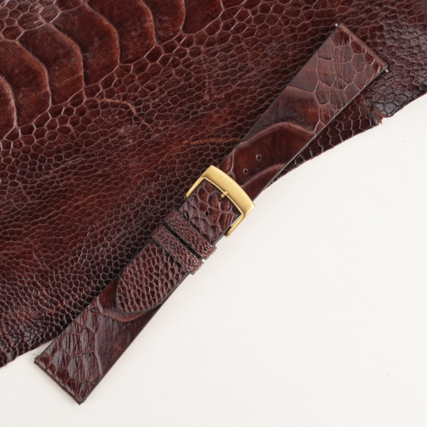 Vintage Dark Brown Ostrich Leg Leather Watch Strap