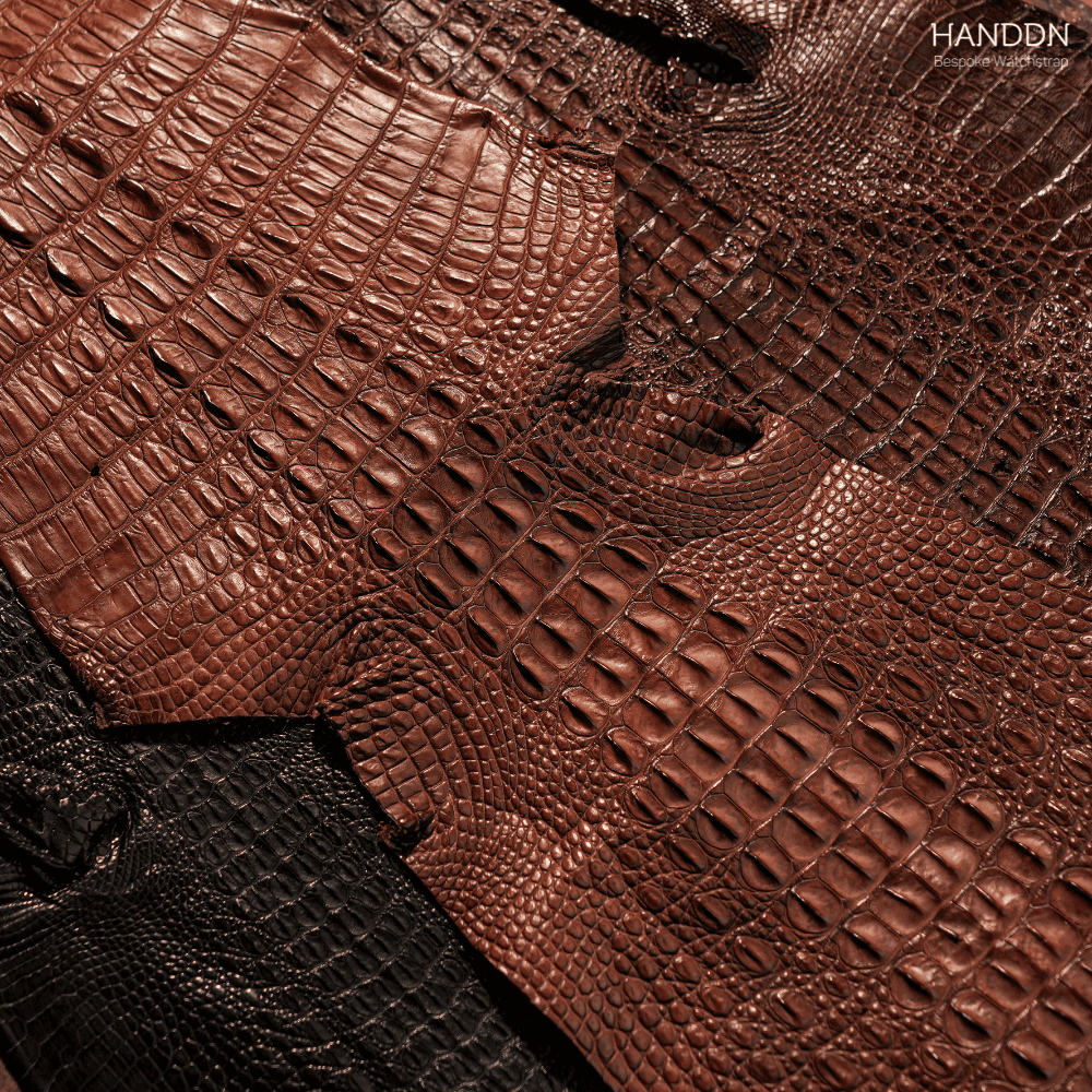 horn back alligator