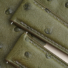 Green Ostrich Lining Forest Epsom Leather Watch Strap