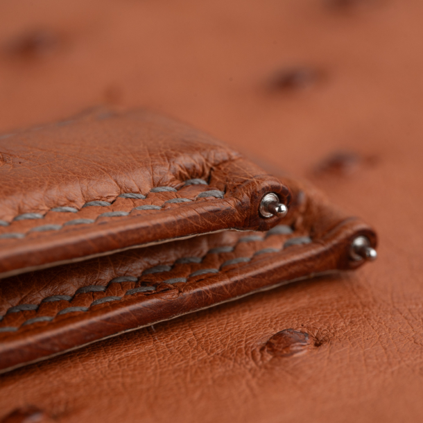 Brown Ostrich Lining Pearl White Epsom Leather Folded Edge Watch Strap